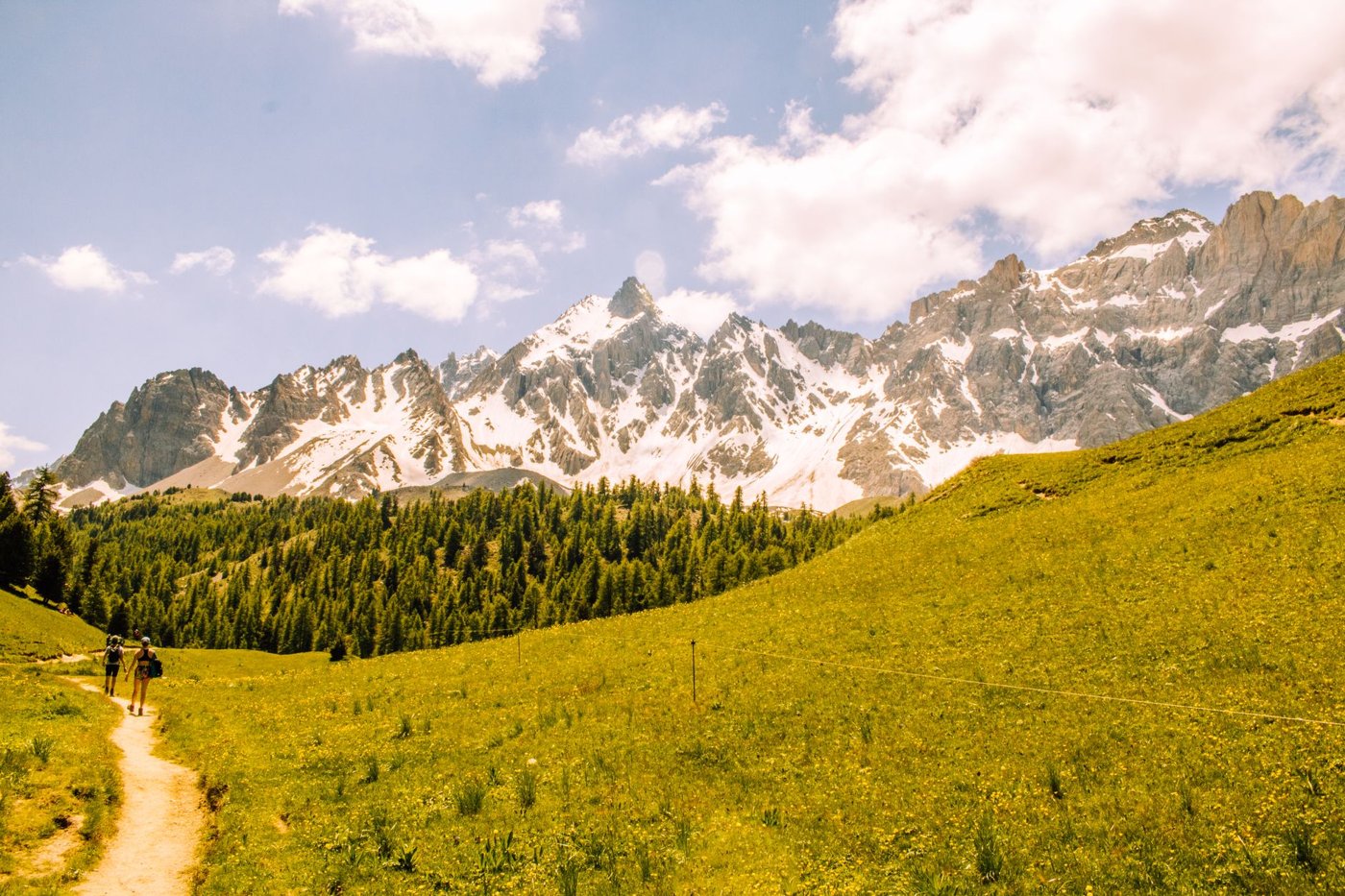 Wanderung Naturerlebnis Trattnach Ursprung