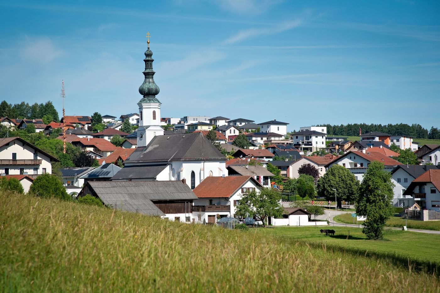 Schildorn im Juni 2026