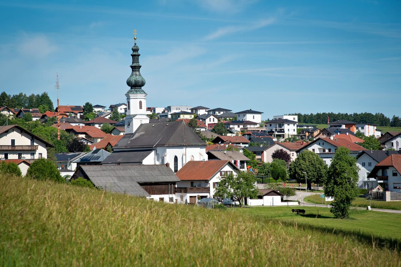 Schildorn im Juni 2026
